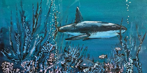 Underwater Landscapes