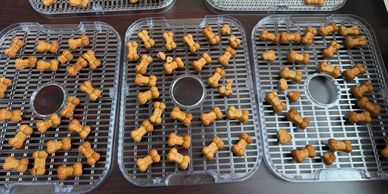 Five trays with bone-shaped dog treats drying on a wooden table.