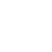 The GEMINI Group 