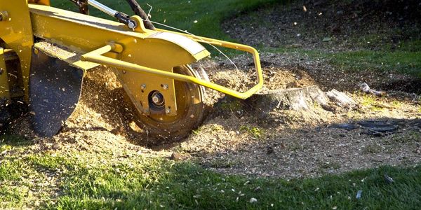 Clearing a field