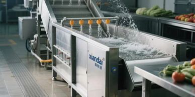 Fruit-Vegetable-Washing-Blanching Machine.jpg