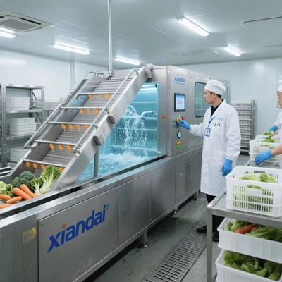 Fruit-Vegetable-Washing-Blanching-Machine.jpg