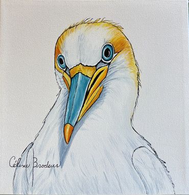 Fous de Bassan, Céline Brodeur artiste peintre