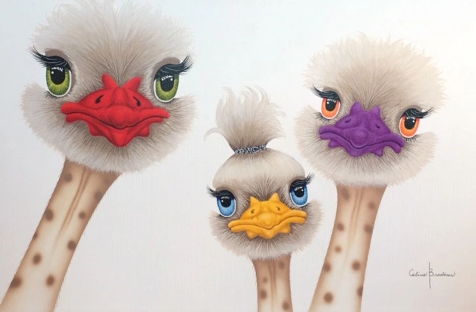 Autruches Céline Brodeur