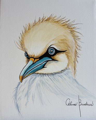 Fous de Bassan, Céline Brodeur artiste peintre