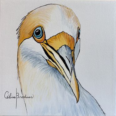 Fous de Bassan, Céline Brodeur artiste peintre