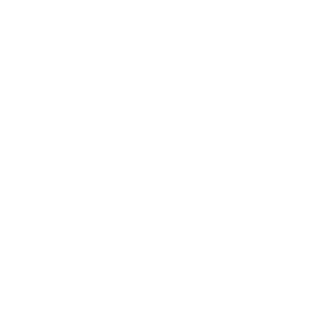 Logistics Carrier LLC