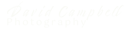 David Campbell Photography