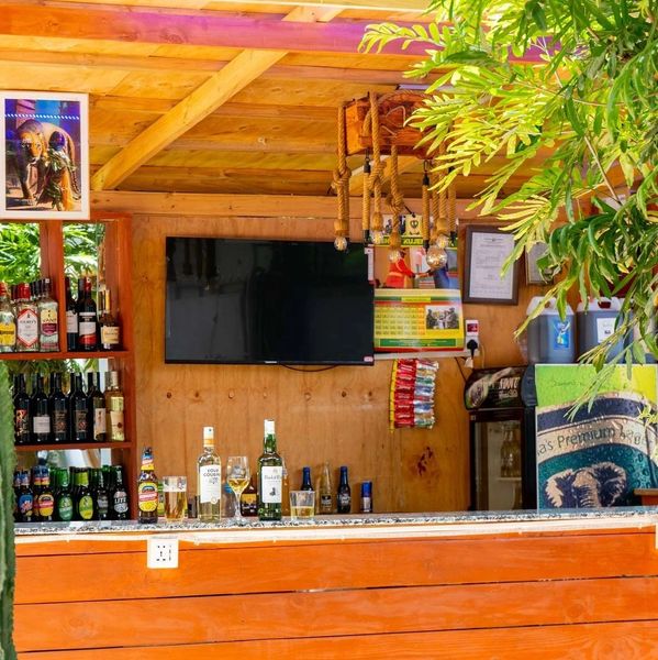Cozy wooden bar with drinks and TV under a leafy canopy.