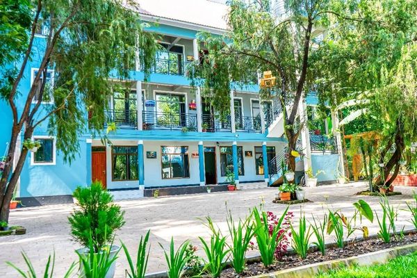 Bright blue multi-story building with greenery and plants in front.