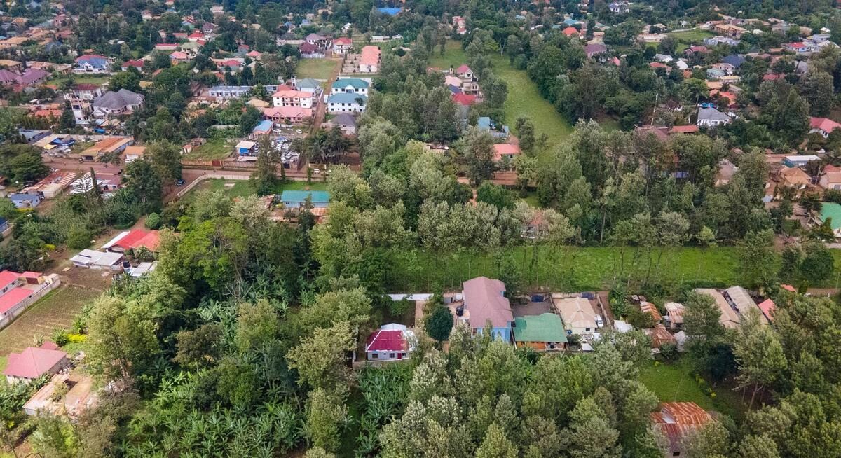 Aerial view of a green suburban neighborhood with houses and trees.