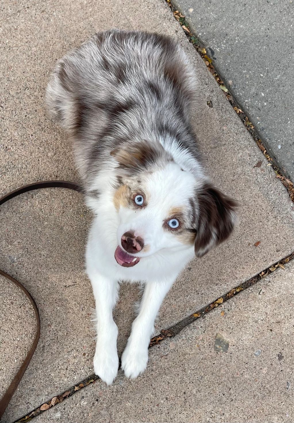 Finn