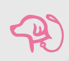 Pawsitive Walking