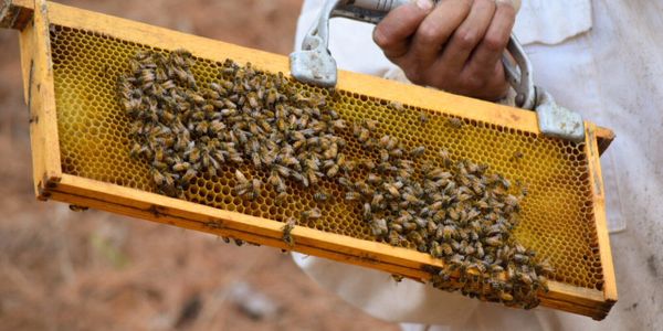 Beekeeping / Fishing Hat – Okanagan Beekeeping Supplies