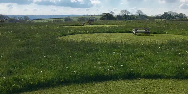 Al about the site and farm 