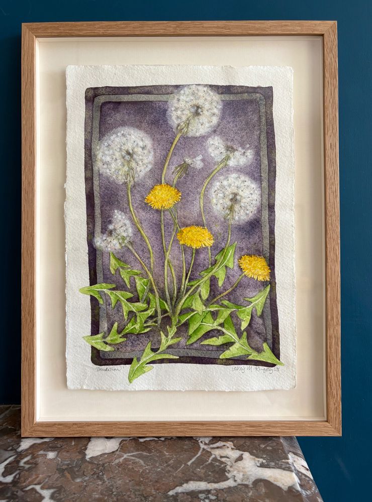 Dandelion