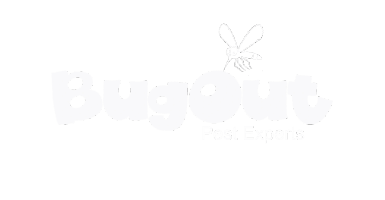 BugOut Pest Experts