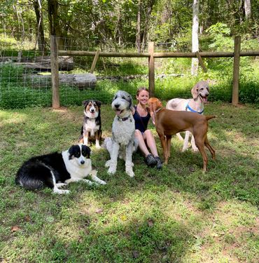 Five dogs sit with owner