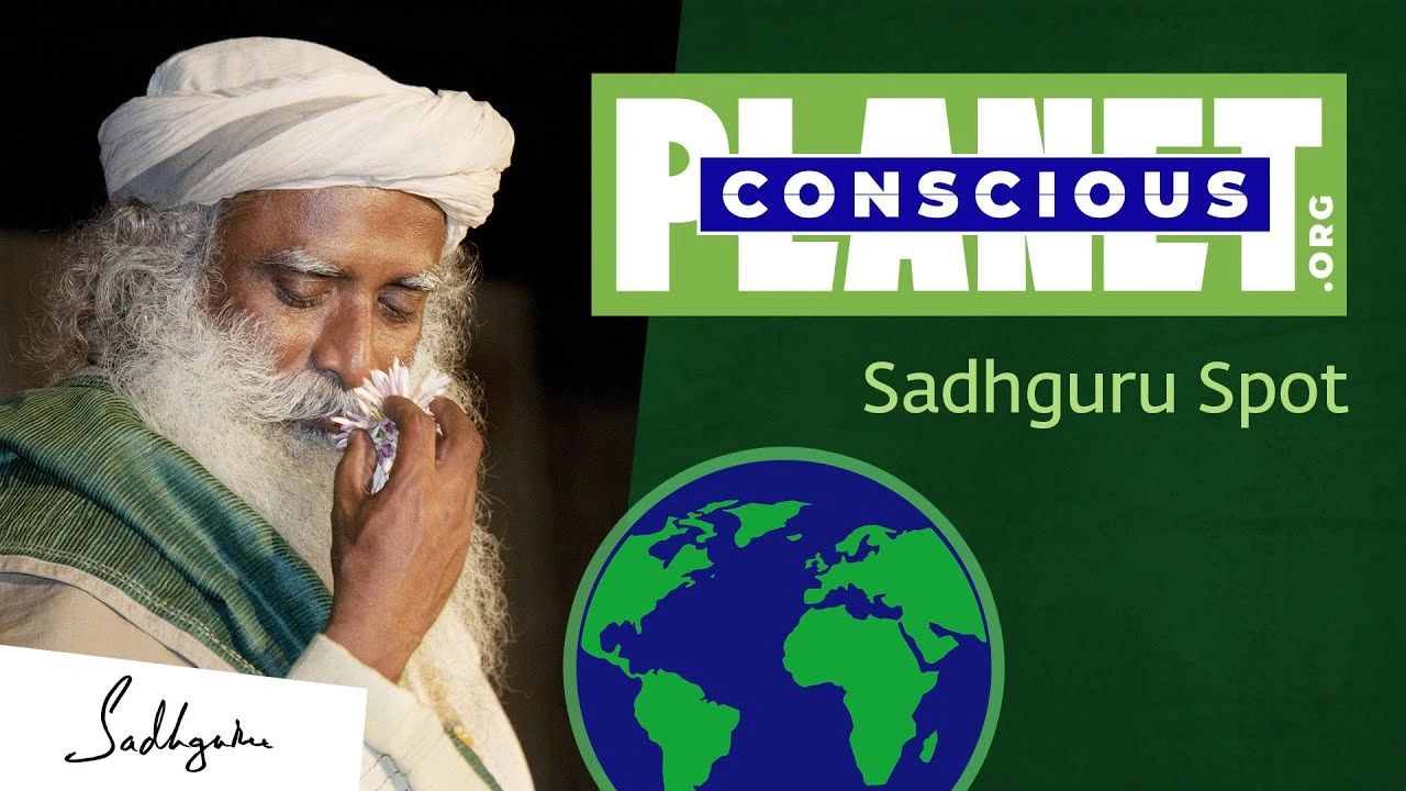 consciousplanet.org