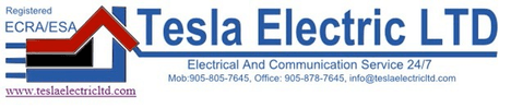 Tesla Electric Milton LTD