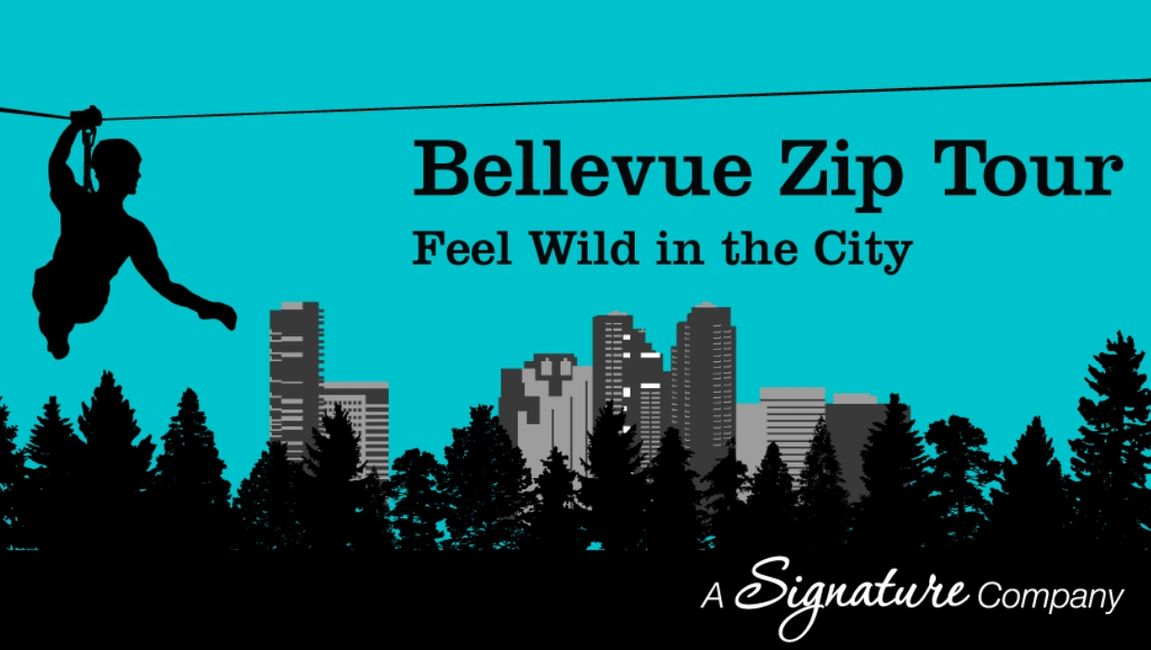 Bellevue Zip Tour Zip Line, Adventure, Outdoors