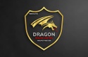 DRAGON SQUAD LTD