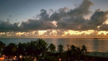 Sunset over the ocean with palm trees silhouetted against the sky.