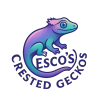 Esco's Crested Geckos