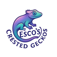 Esco's Crested Geckos