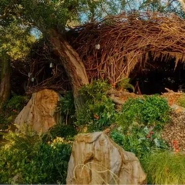 Airbnb is offering fans a chance to step into Oz with a free, Wicked-themed retreat hosted by Cynthi