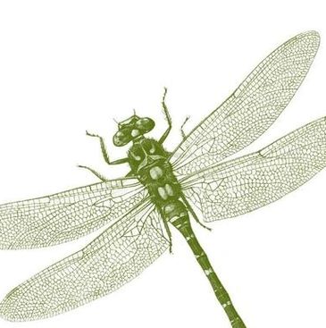 Carymoor Environmental Trust 