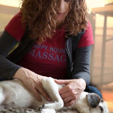A dog relaxes into a soothing professional canine massage and gentle shoulder stretch 