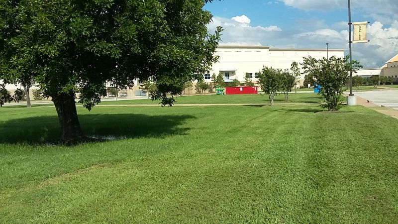 20181004_155707.jpg