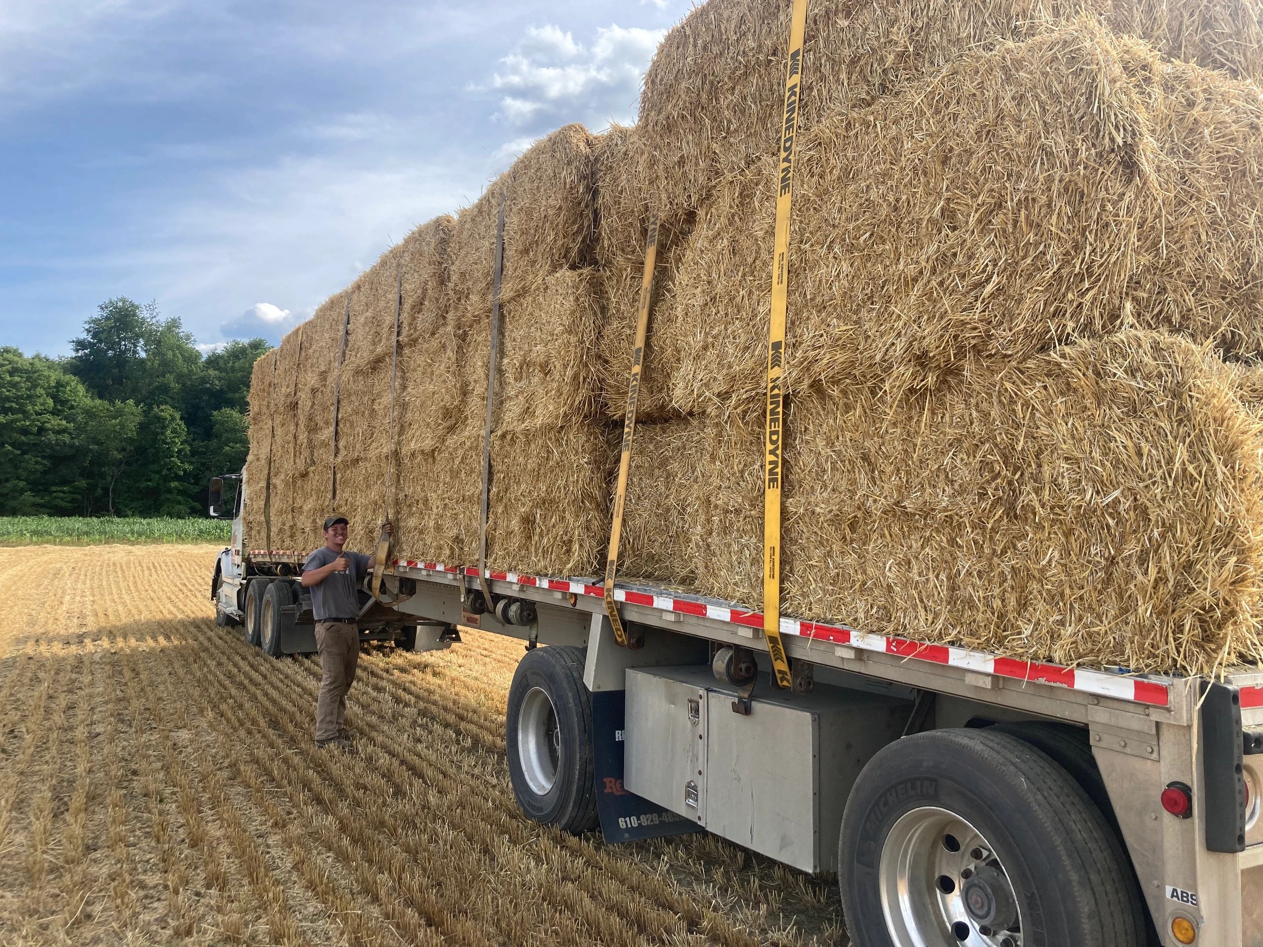 Just A Few Acres Farm Net Worth - lr3i1jj