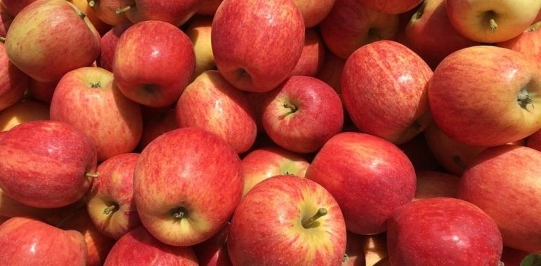 Gala Apples, Locally Grown, 2 Pounds