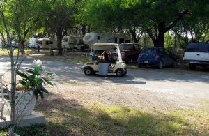 Janet Casey keeping the area litter-free.