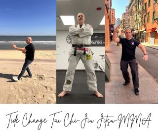 Tide Change Tai Chi-Jiu Jitsu-MMA, business photo 1