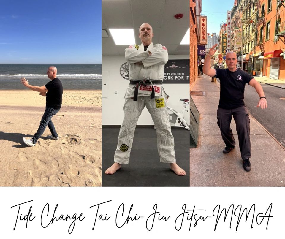 Tide Change Tai Chi-Jiu Jitsu-MMA business photo