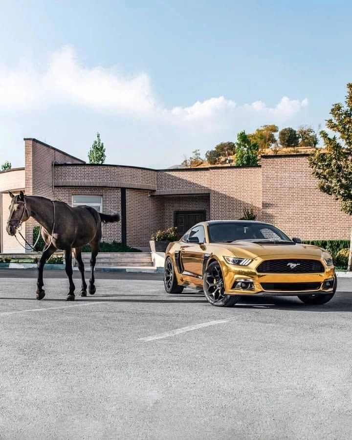Join the Blue Ridge Mustang Club Today!