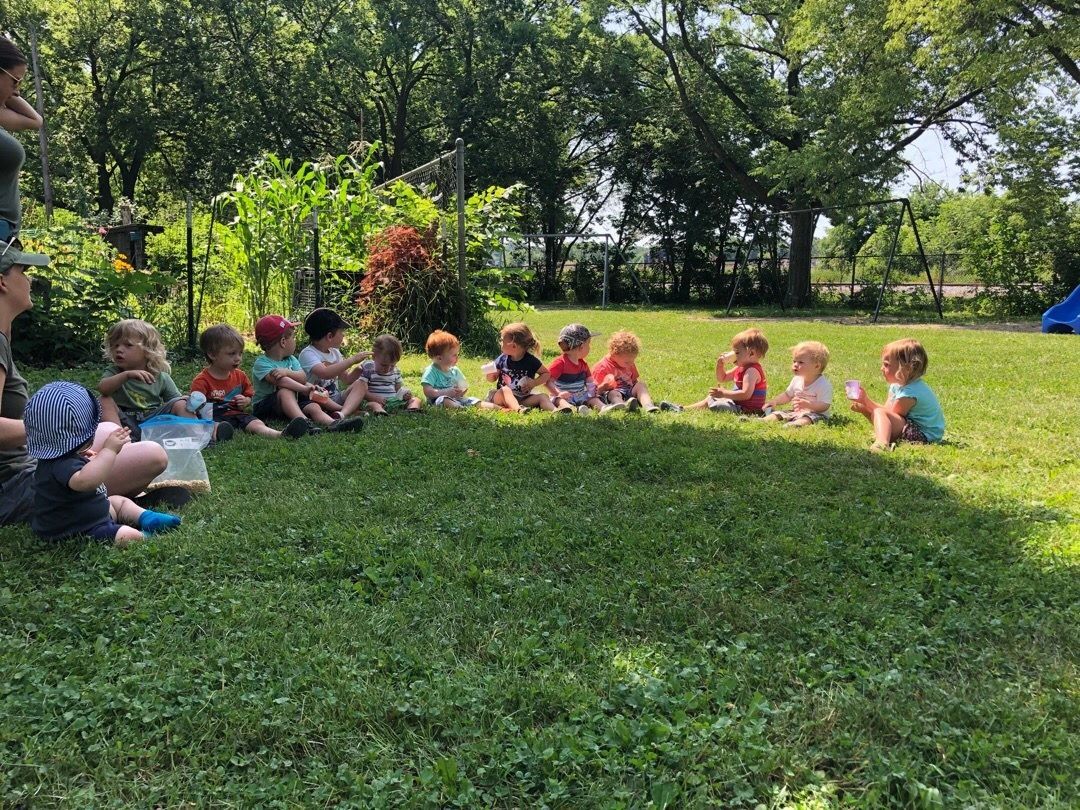 sprout daycare sprout daycare