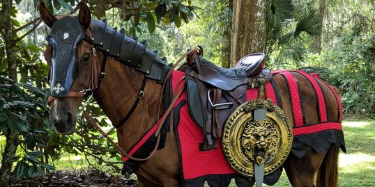 Horse in foam armor and Destrier Costume