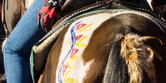 Photo of horse wearing faux fur tail decoration