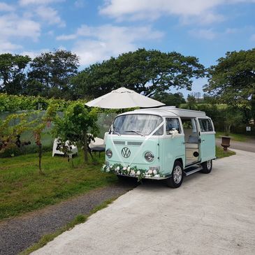 A vintage VW campervan is in a Cornish vineyard, decorated for a wedding day.