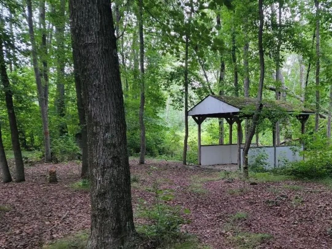 The Waterfront Photos