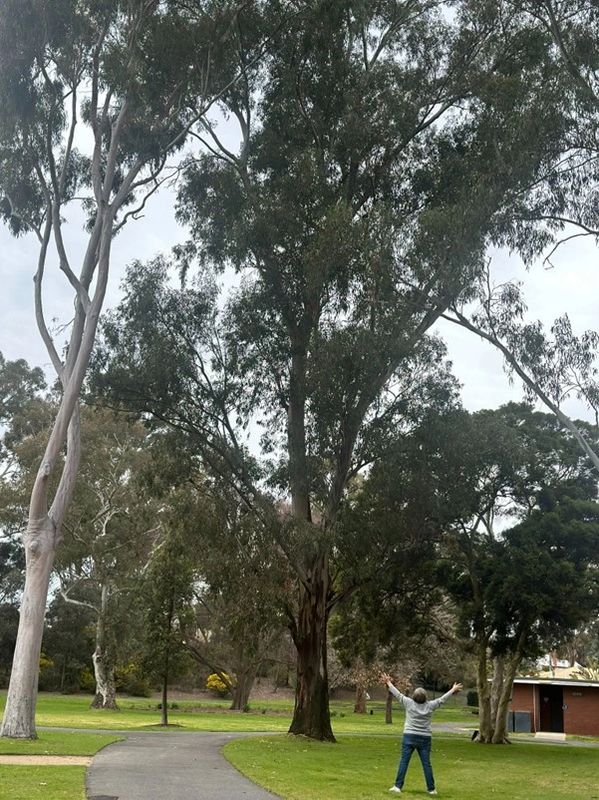 Caralyn enjoying nature and mindfulness in the Botanical Gardens