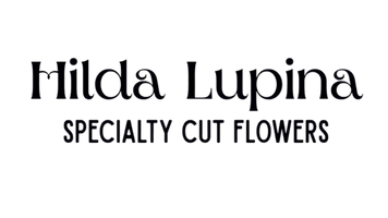 Hilda Lupina Specialty Cut Flowers