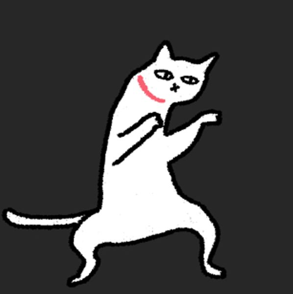 This is image is Botato the cat.