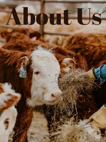 High Quality Animal Feed - Sundre Farm and Feed Mill