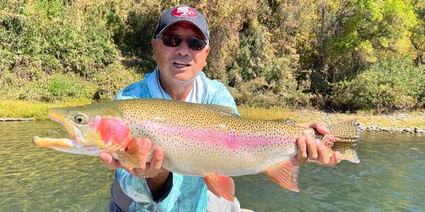 Mr. Fox Outfitters - Fly-Fishing Guide, Northern California