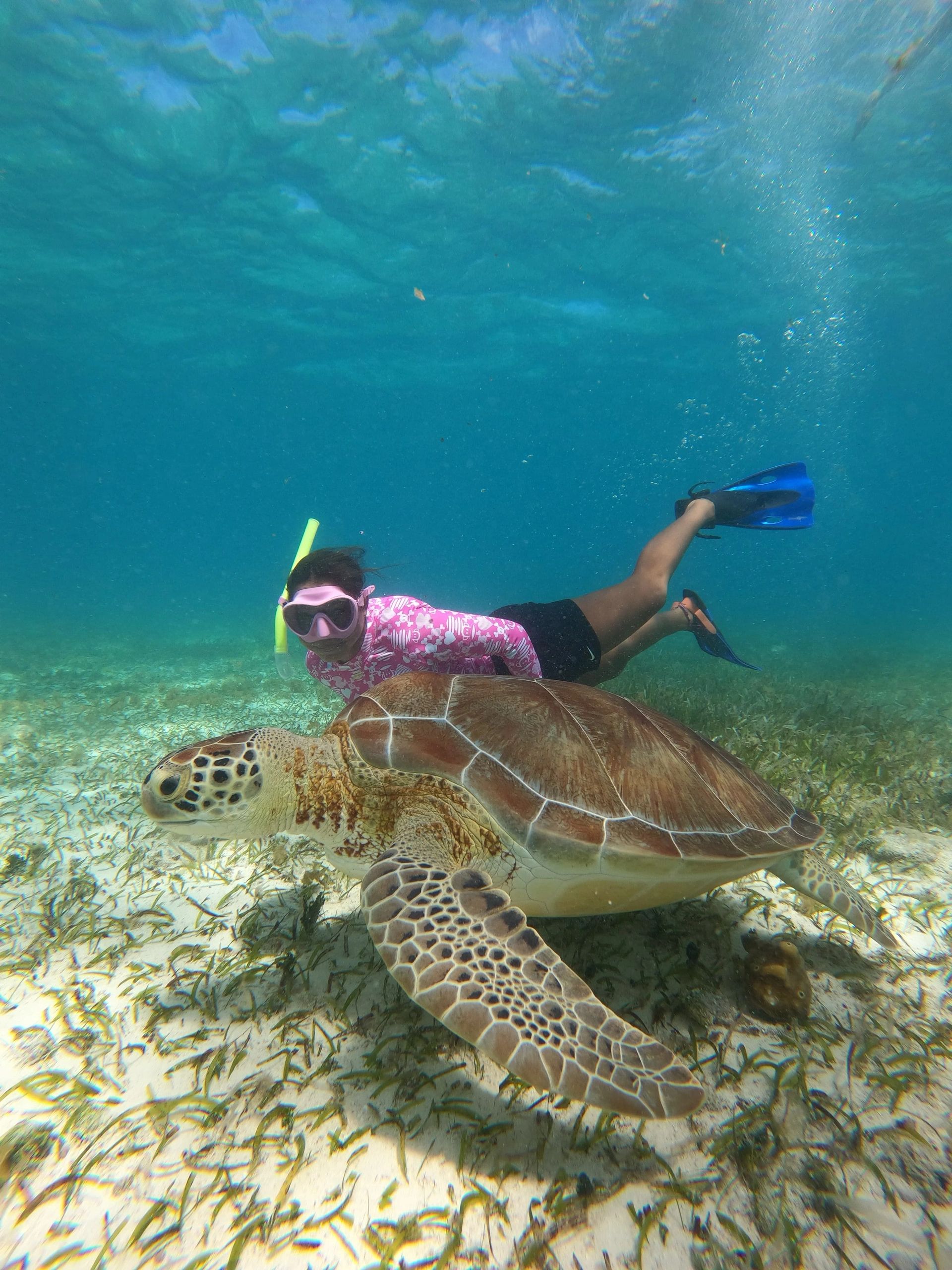Happy customer snorkeling with a sea turtle on a snorkel trip with Cozumel Anglers. 